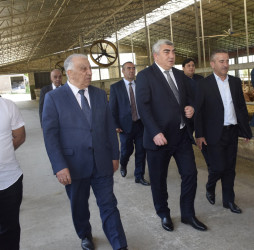 Qubada heyvandarlıq təsərrüfatının fəaliyyəti ilə tanışlıq olub.