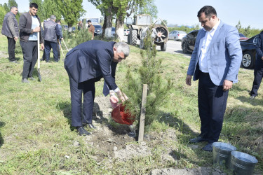 Qubada Ümummilli Lider Heydər Əliyevin anadan olmasının 103-cü ildönümü münasibətilə ağacəkmə aksiyası keçirilib.