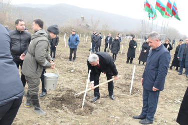 Quba rayonunda “Yaşıl dünya naminə həmrəylik ili” çərçivəsində növbəti ağacəkmə aksiyası keçirilib.