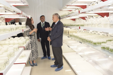 Qubada "Aqrar təhsil və istehsalatın inteqrasiyası: məhsuldarlıq, məşğulluq və ərzaq təhlükəsizliyi" mövzusunda regional konfrans keçirilib.