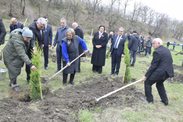 31 Mart - Azərbaycanlıların Soyqırımı Günü ilə əlaqədar Quba şəhərində ağacəkmə aksiyası keçirilmişdir.