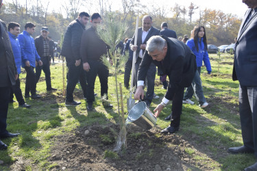8 Noyabr- Zəfər Günü münasibətilə silsilə tədbirlər davam etdirilir.