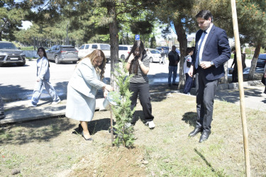 Qubada Ümummilli Lider Heydər Əliyevin anadan olmasının 103-cü ildönümü qeyd olunub.