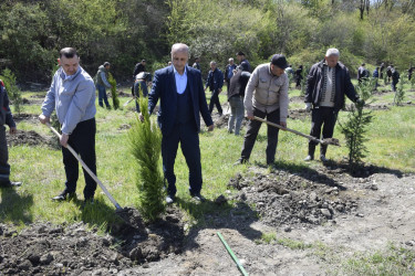 “Şəhərsalma və Memarlıq İli” çərçivəsində Qubada ağacəkmə aksiyası keçirilib.