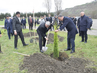 31 Mart - Azərbaycanlıların Soyqırımı Günü ilə əlaqədar Quba şəhərində ağacəkmə aksiyası keçirilmişdir.