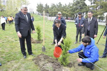 “Şəhərsalma və Memarlıq İli” çərçivəsində Qubada növbəti ağacəkmə aksiyası keçirilib.