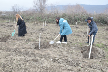 Quba rayonunda “Yaşıl dünya naminə həmrəylik ili” çərçivəsində növbəti ağacəkmə aksiyası keçirilib.