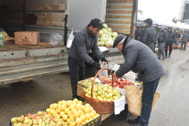 “Quba Meydanı” parkının qarşısında bayram yarmarkası fəaliyyətə başlayıb.