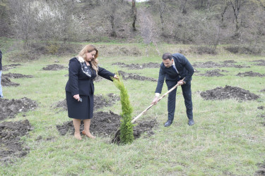 31 Mart - Azərbaycanlıların Soyqırımı Günü ilə əlaqədar Quba şəhərində ağacəkmə aksiyası keçirilmişdir.