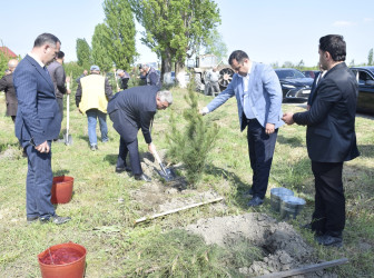 Qubada Ümummilli Lider Heydər Əliyevin anadan olmasının 103-cü ildönümü münasibətilə ağacəkmə aksiyası keçirilib.