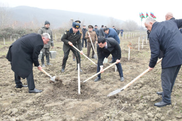 Quba rayonunda “Yaşıl dünya naminə həmrəylik ili” çərçivəsində növbəti ağacəkmə aksiyası keçirilib.