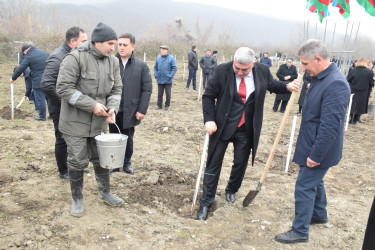 Quba rayonunda “Yaşıl dünya naminə həmrəylik ili” çərçivəsində növbəti ağacəkmə aksiyası keçirilib.