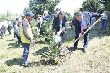 Qubada Ümummilli Lider Heydər Əliyevin anadan olmasının 103-cü ildönümü qeyd olunub.