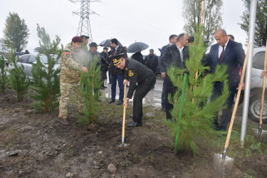 Quba rayonunda “Yaşıl dünya naminə həmrəylik ili” çərçivəsində ağacəkmə aksiyası keçirilib.