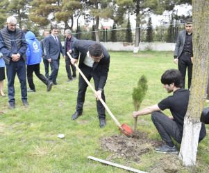 “Şəhərsalma və Memarlıq İli” çərçivəsində Qubada növbəti ağacəkmə aksiyası keçirilib.