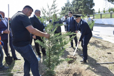 Qubada Anım Günü ilə əlaqədar ağacəkmə aksiyası keçirildi.
