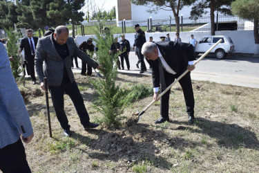 Qubada Anım Günü ilə əlaqədar ağacəkmə aksiyası keçirildi.