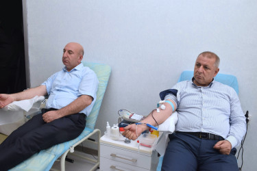 Qubada Talassemiyalı və hemofiliyalı xəstələrə köməklik göstərilməsi məqsədilə qanvermə aksiyası keçirilib.