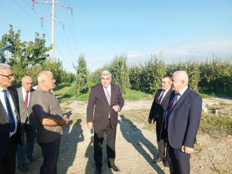 Quba rayonunda kənd təsərrüfatı subyektlərinə baxış keçirildi.
