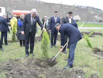 31 Mart - Azərbaycanlıların Soyqırımı Günü ilə əlaqədar Quba şəhərində ağacəkmə aksiyası keçirilmişdir.