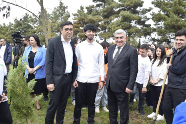“Şəhərsalma və Memarlıq İli” çərçivəsində Qubada növbəti ağacəkmə aksiyası keçirilib.
