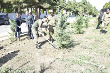 Qubada Anım Günü ilə əlaqədar ağacəkmə aksiyası keçirildi.
