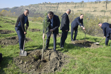 8 Noyabr- Zəfər Günü münasibətilə silsilə tədbirlər davam etdirilir.