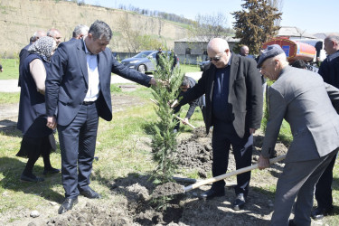 “Şəhərsalma və Memarlıq İli” çərçivəsində Qubada ağacəkmə aksiyası keçirilib.