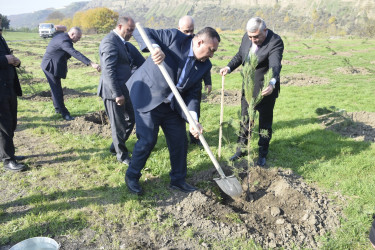 8 Noyabr- Zəfər Günü münasibətilə silsilə tədbirlər davam etdirilir.