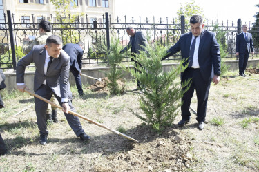 Qubada Anım Günü ilə əlaqədar ağacəkmə aksiyası keçirildi.