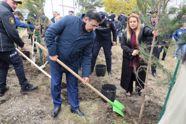 Rayonda “Yaşıl dünya naminə həmrəylik ili” çərçivəsində növbəti geniş miqyaslı ağacəkmə aksiyası keçirilib.