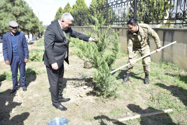 Qubada Anım Günü ilə əlaqədar ağacəkmə aksiyası keçirildi.