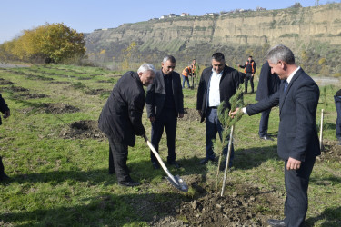 8 Noyabr- Zəfər Günü münasibətilə silsilə tədbirlər davam etdirilir.