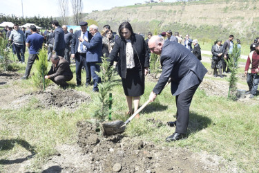“Şəhərsalma və Memarlıq İli” çərçivəsində Qubada ağacəkmə aksiyası keçirilib.