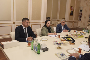 Quba Rayon İcra Hakimiyyətində bir qrup QHT rəhbərləri ilə görüş keçirilib.