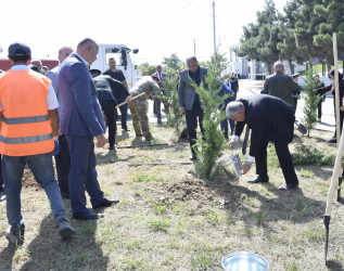 Qubada Anım Günü ilə əlaqədar ağacəkmə aksiyası keçirildi.