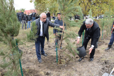 Rayonda “Yaşıl dünya naminə həmrəylik ili” çərçivəsində növbəti geniş miqyaslı ağacəkmə aksiyası keçirilib.