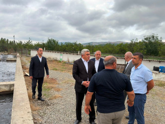 Rayon İcra Hakimiyyətinin başçısı İlqar Mahmudov, Zərqava-Çiçi bələdiyyəsinin ərazisində fəaliyyət göstərən balıqçılıq təsərrüfatı ilə tanış olmuşdur.