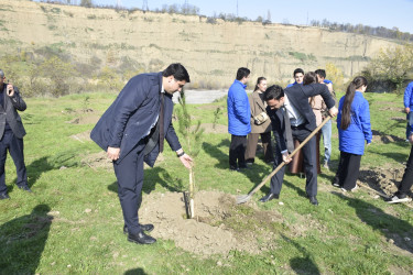 8 Noyabr- Zəfər Günü münasibətilə silsilə tədbirlər davam etdirilir.