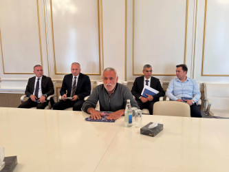 Fərdi vətəndaş qəbulları davam etdirilir.
