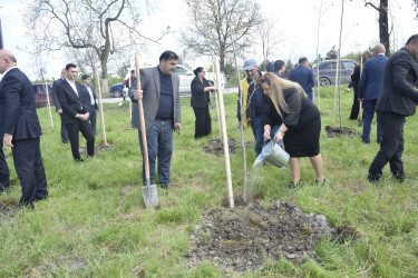 Qubada Ümummilli Lider Heydər Əliyevin anadan olmasının 103-cü ildönümü münasibətilə ağacəkmə aksiyası keçirilib.