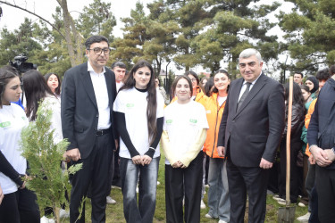 “Şəhərsalma və Memarlıq İli” çərçivəsində Qubada növbəti ağacəkmə aksiyası keçirilib.