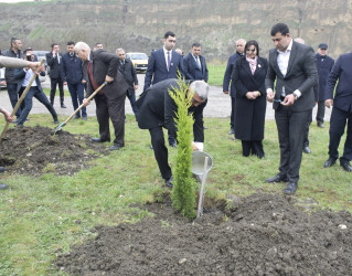 31 Mart - Azərbaycanlıların Soyqırımı Günü ilə əlaqədar Quba şəhərində ağacəkmə aksiyası keçirilmişdir.