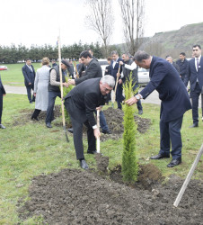 31 Mart - Azərbaycanlıların Soyqırımı Günü ilə əlaqədar Quba şəhərində ağacəkmə aksiyası keçirilmişdir.