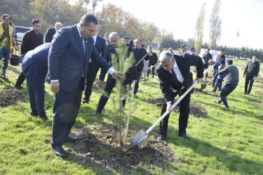 8 Noyabr- Zəfər Günü münasibətilə silsilə tədbirlər davam etdirilir.
