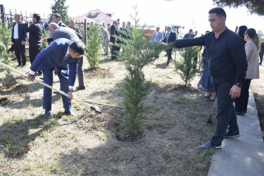 Qubada Anım Günü ilə əlaqədar ağacəkmə aksiyası keçirildi.