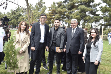 “Şəhərsalma və Memarlıq İli” çərçivəsində Qubada növbəti ağacəkmə aksiyası keçirilib.