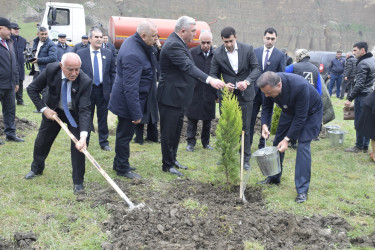 31 Mart - Azərbaycanlıların Soyqırımı Günü ilə əlaqədar Quba şəhərində ağacəkmə aksiyası keçirilmişdir.