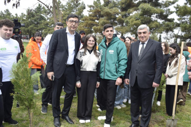 “Şəhərsalma və Memarlıq İli” çərçivəsində Qubada növbəti ağacəkmə aksiyası keçirilib.