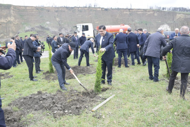 31 Mart - Azərbaycanlıların Soyqırımı Günü ilə əlaqədar Quba şəhərində ağacəkmə aksiyası keçirilmişdir.